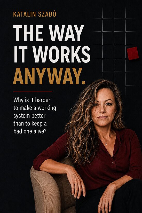 The Way It Works Anyway. – Digital Book (PDF + EPUB)